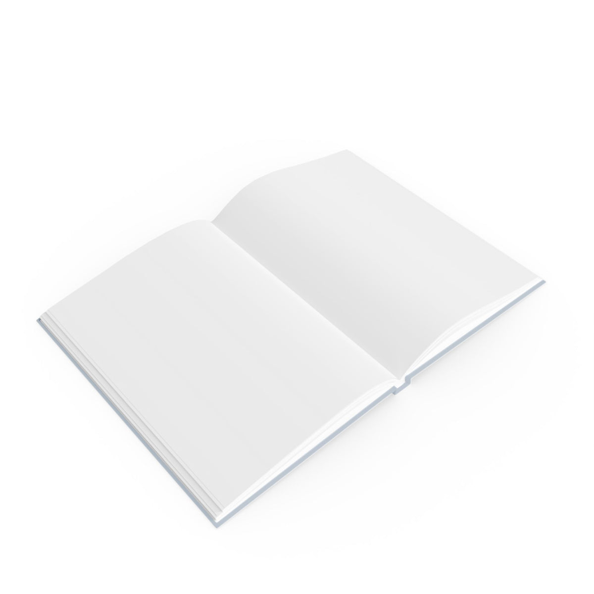 Open view of journal showing blank pages